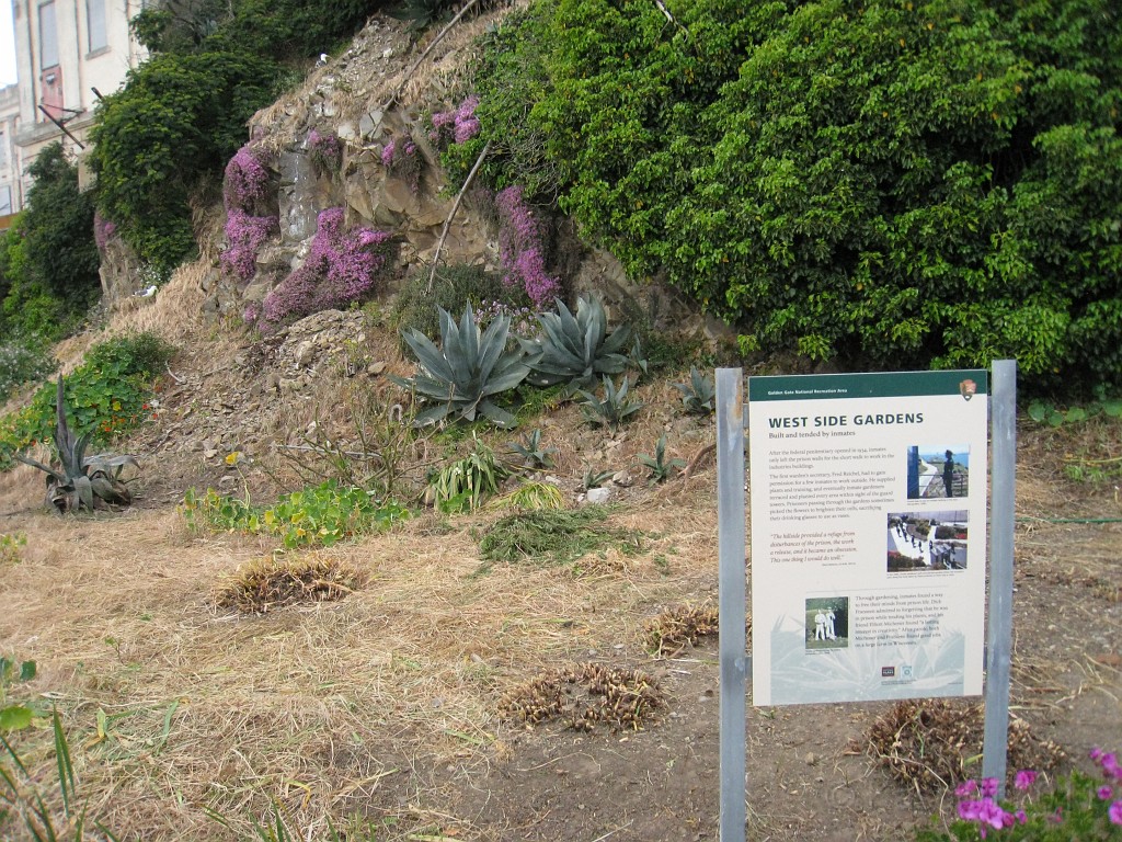 2011 Bay 2 Breakers Saturday 0735.JPG - I was able to participate in the 2011, 100th anniversary of the San Francisco Bay to Breakers 12K race. A great weekend for sight seeing and racing.